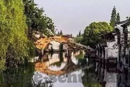 91大象传媒视频app下载-探索91大象传媒视频app，数字时代的娱乐新视角