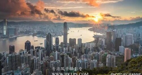大象传媒官网首页-探索大象传媒官网首页，创意与信息的交汇点