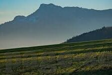 免费av在线麻豆-免费av在线麻豆，解析网络现象的深思