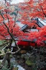 三级麻豆91精选国产-探索网络文化的多元性与双重性——以三级麻豆91精选国产现象为例