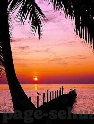 亚洲麻豆一二三四区av-东南亚文化与现实的多元面貌